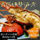 天然伊勢海老 活〆ボイル冷凍 <約 250gx2 尾> 国産 ギフト 内祝い 丑の日 土用 紅白 贈り物 国内 スタミナ プレゼント お歳暮