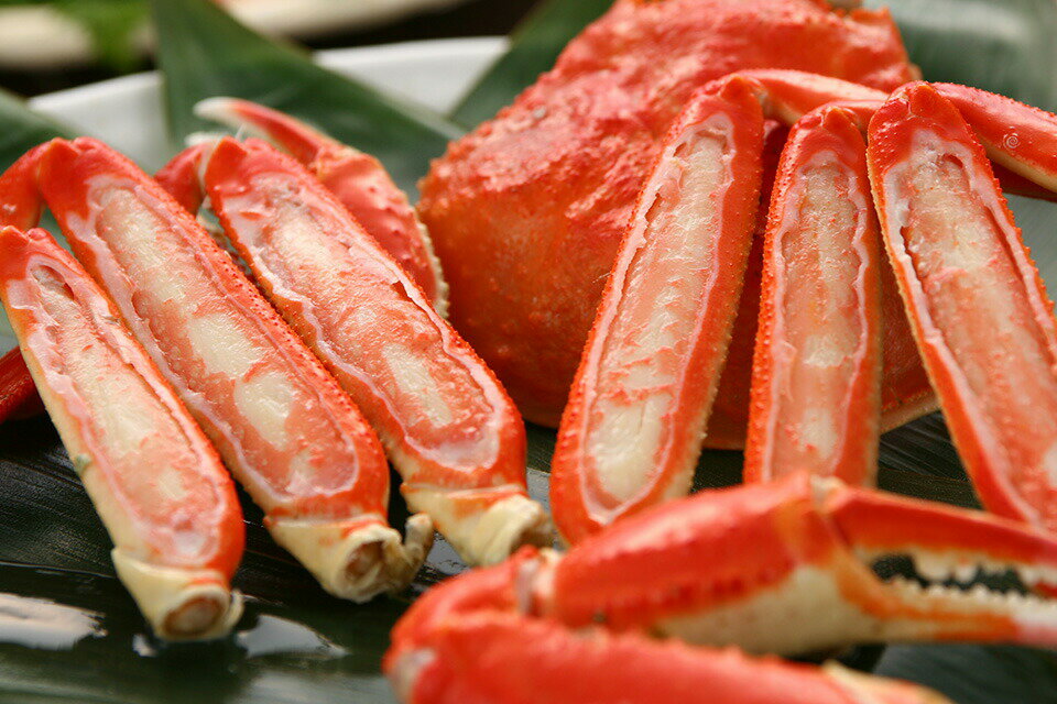 ズワイ蟹 (500g up x 2杯） ギフト 内祝い 丑の日 土用 紅白 贈り物 スタミナ プレゼント お歳暮 カニ 蟹 3