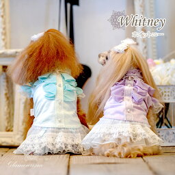 [即納] ホイットニー （Whitney） グラマーイズム 犬 服 いぬ ペット ペット用 洋服 犬服 ブランド ドッグウェア ドッグ ペット服 ペット用品 愛犬 小型犬