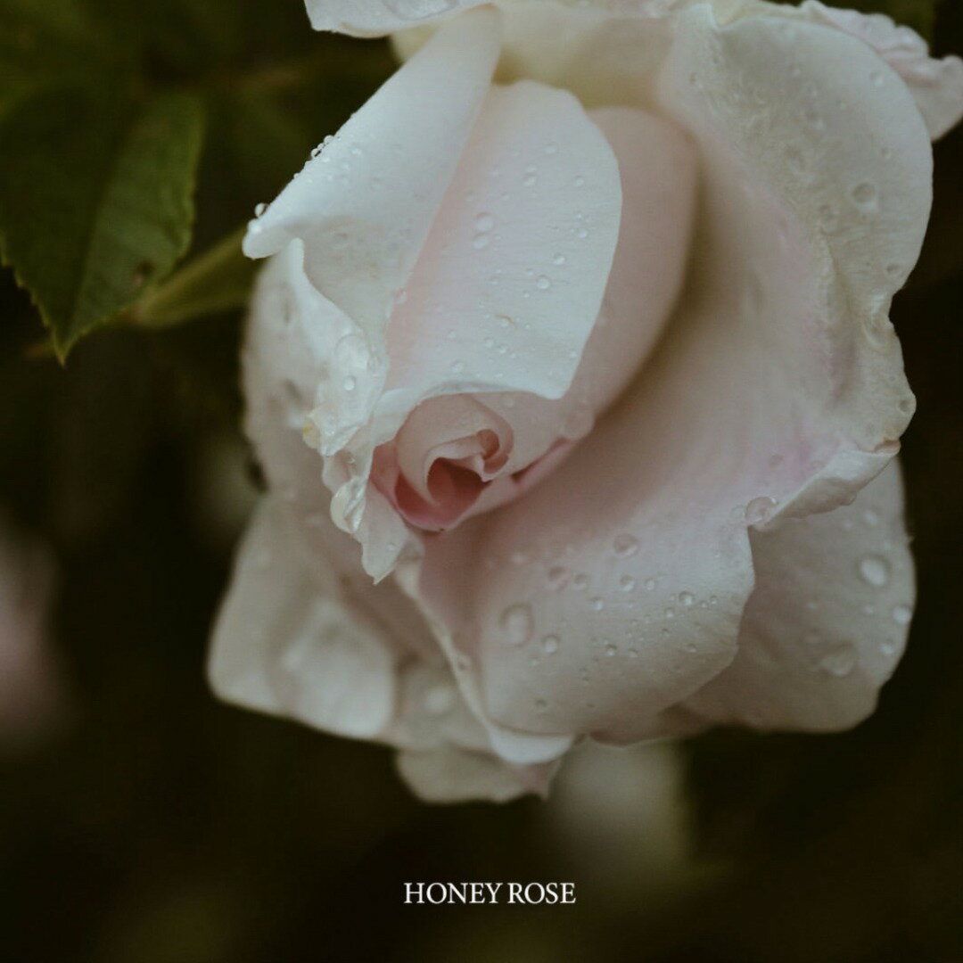 �ڸ����ۥ��ץ����� �ϥ�ɥ��꡼�� NO.10�ϥˡ������� 50ml / �Ť�ͥ���� �ϥ��ߥĤι�� �ڹ񥳥��� �ѥե塼�� �ݼ� �����Х��� ��ɷ� ����� ���äȤ� ���餵�� ��ä��� ������� �ץ����ե� ��� ���� ���� �͵� �ϥ�ɥ��� �ץ쥼��� ���ե�