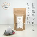 しょうが紅茶 和紅茶 無農薬 無肥料 オーガニック 有機紅茶 熊本 天の製茶園 ギフト プレゼント 女性 内祝い 誕生日 ご家族に ティーバック