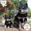 クロ柴犬【あす楽】親子2個組セットお庭や玄関柴犬しばいぬくろしば送料無料 ガーデニング ガーデン 雑貨 オーナメント おしゃれ 置物 おうち時間 大人かわいい雑...