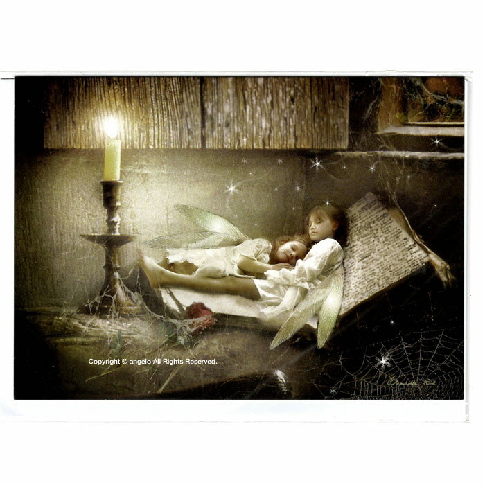 Charlotte Bird　シャーロット バードグリーティングカード1枚　額なし　丘の家の伝説　天使 妖精・薔..