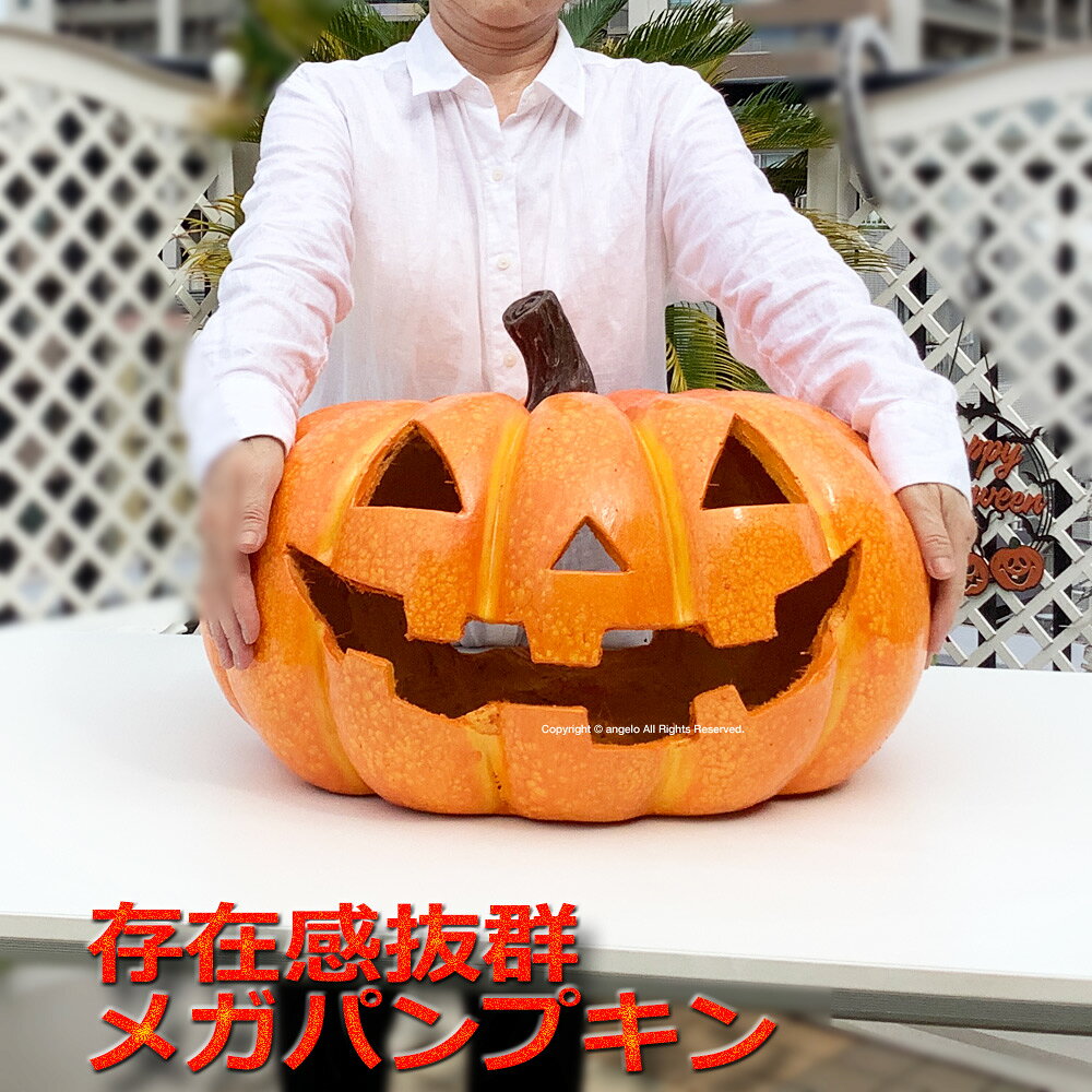 楽天市場】ハロウィン かぼちゃ 陶器の通販