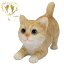 送料無料 【じゃれる茶トラ猫(小)】CAT リビング 玄関 ガーデン 雑貨 オーナメント おしゃれ置物 樹脂 お出迎え おうち時間 WooBia