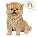 【送料無料】【頭を上げるポメラニアン】 本物そっくり 犬 ドッグ 置物 ガーデニング エントランス リビング おしゃれ インテリア置物 ウエルカム お出迎え Woobia