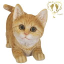 送料無料 【遊ぶ茶トラ猫】 CAT リビング 玄関 ガーデン 雑貨 オーナメント おしゃれ置物 樹脂 お出迎え おうち時間 WooBia