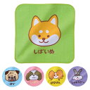 わんわん ハンドタオル 【 250個 / カートン売 】 ハンカチ ハンドタオル タオル ミニタオル 犬 柴犬 パグ シーズー パピヨン シュナウザー 綿 コッ...