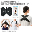 美姿勢活動サポーター 【 60組 / カートン売 】 姿勢矯正 猫背矯正 姿勢 猫背 矯正 ギフト プレゼント イベント 販促 景品 粗品 まとめ買い [PL-...