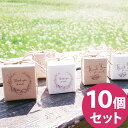 ＼あす楽／ナチュラルBOX10個セット【送料無料/送料込/本州・四国・九州のみ】 プチギフト お菓子 クッキー お礼 結婚式 挙式 ウェディング 披露宴 二次会 イベント 義理 プレゼント 退職 ノベルティ ありがとう おしゃれ 異動[HF]