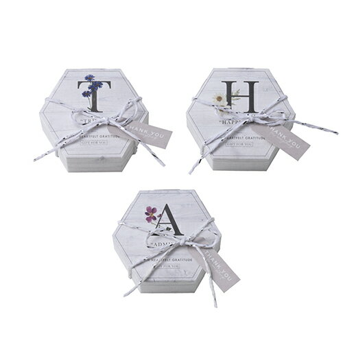 �� 20�󥪥� �� ���˥���� �ץ��� �ϡ��ȥ��å��� ��1�� �� �ץ����ե� �뺧�� ���å��� 200���� �󼡲� �����ǥ��� ��Ϫ�� �͵� ������� ���襤�� [AI2025]