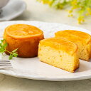 瀬戸内芳醇オレンジケーキ(小丸6個入) 送料無料 ギフト