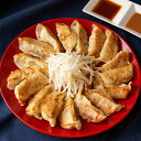浜太郎の赤餃子40個(20個×2箱) 送料無料 マツコの知らない世界で紹介 浜松 餃子