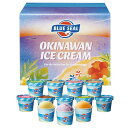 沖縄 ブルーシールアイス (12個入) ジェラート アイスクリーム アイス 人気 OKINAWAN 沖縄スイーツ 父の日 母の日 お中元 お歳暮 ギフト