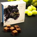 生チョコ(ブランデー) 2箱セット ベルタ社 20年 ブランデー使用 大人の生チョコ ミルクチョコレート 高級 ギフト 洋菓子 お取り寄せ プレゼント