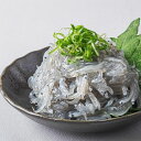 高知県安芸の生しらす100g(8袋セット) 高知県 安芸しらす しらす丼 海鮮 惣菜 父の日 母の日 お中元 お歳暮 ギフト プレゼント お取り寄せ