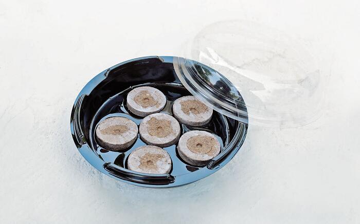 / ����̵�� / �������Υ��� ���󤿤󥿥ͤޤ����å� �ʥ����ǥ˥� �� ��ʪ ���� ���ݥ��å� ���襤����