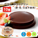 【アレルギー対応】 ベスト チョコプリン（卵・乳・大豆不使用）（10個入り）（ おやつ スイーツ お土産 行事 学校給食 幼稚園 保育園 チョコ プリン パーティー 日東ベスト）