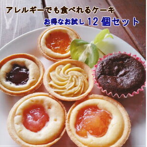 アレルギー対応ケーキ(お試し12個セット)≪もも(2個)/りんご(2個)/ブルーベリー(2個)/みかん(2個)/さつまいもと栗(2個)/ガトーショコラ(2個)≫【給食 タルトお米deタルト 卵不使用 乳不使用 小麦不使用 デザート チョコレート お菓子 おやつ グルテンフリー】