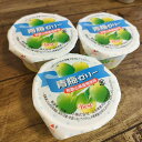 青梅ゼリー (40個)(和歌山県産梅使用)(ゼリー 梅 給食 デザート スイーツ お菓子 おやつ パーティー 学校 幼稚園 保育園 誕生日会 行事食 )