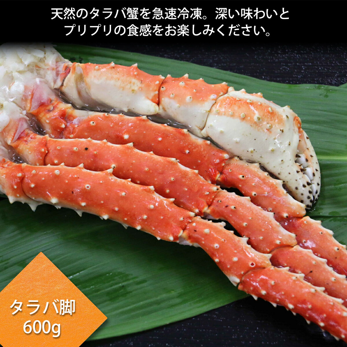 ���磻��������г����ӳ��ι�ڻ��糪���åȲ��ष�Ƥ��Τޤ޾����夬�äƤ��������ޤ���������̣�������ι��򿩤����