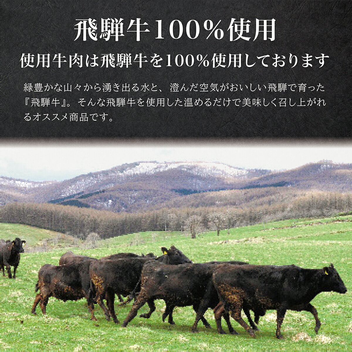 飛騨高山ファクトリー VH-4 飛騨牛ごろっとビーフカレー gift-gladfanfare-10000086 ギフトのグラッドファンファーレ サンプル画像2
