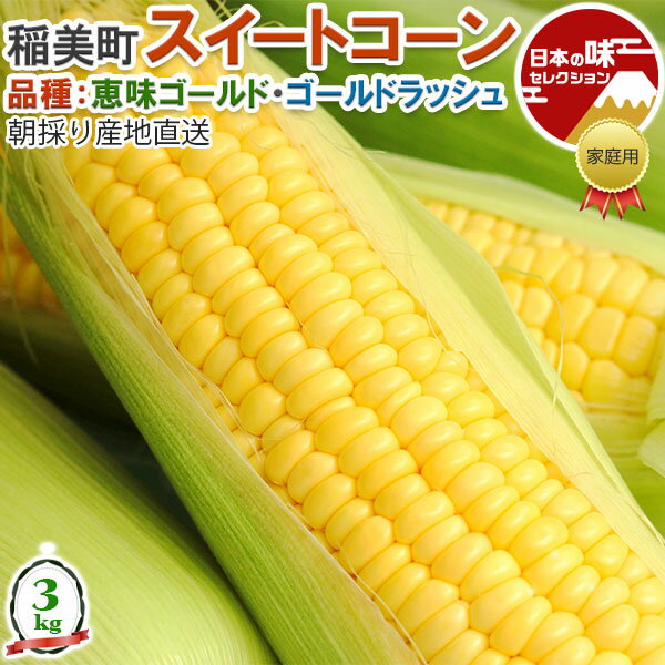 お中元　朝採り スイートコーン　3kg　約8本 兵庫県・稲美町産 とうもろこし ● ゴールドラッシュ / ● 恵味ゴールド　加古郡稲美町から..
