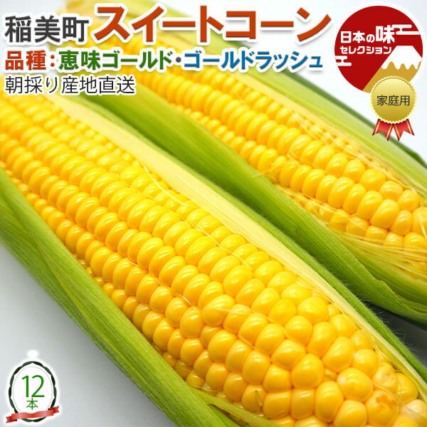 Rakuten - お中元　朝採り スイートコーン　12本 兵庫県・稲美町産 とうもろこし ● ゴールドラッシュ / ● 恵味ゴールド　加古郡稲美町から産地直送　高級コーン　早めの 夏ギフト 父の日　野菜 送料無料 予約品 (6月中旬〜6月下旬出荷)
