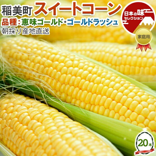 最大2000円クーポン◆お中元　朝採り スイートコーン　20本 兵庫県・稲美町産 とうもろこし ● ゴールドラッシュ / ● 恵味ゴールド　加古郡稲美町から産地直送　高級コーン　早めの 夏ギフト 父の日　野菜 送料無料 予約品 (6月中旬〜6月下旬出荷)