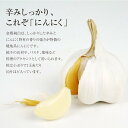 にんにく やぶひこ(金郷純白)兵庫県産・1kg (2Lサイズ...