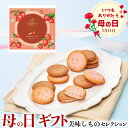 母の日 ギフト 【母の日専用】ゴディバ あまおう苺ラングドシャクッキーアソートメント(18枚)|●あまおう苺&ミルクチョコレート・あまおう苺&ホワイトチョコレー...