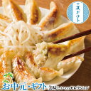 お中元 夏ギフト プレゼント 浜松餃子|餃子(15粒入)×3パック|お取り寄せグルメ 食品 贈物 御中元 送料無料