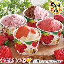 敬老の日 ギフト プレゼント 敬老祝 博多あまおうのこだわりアイス|アイスクリーム あまおうソース&バニラ58ml×3、あまおう&ショコラ76ml×2、あまおうクリームチーズ・あまおうシャーベット各78ml×各2(計9)|お取り寄せグルメ 食品 贈物 送料無料