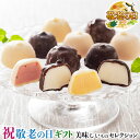 敬老の日 ギフト プレゼント 敬老祝 銀座京橋 レ ロジェ エギュスキロール ショコラアイスボール|バニラ・クランチ・ストロベリー・マンゴー各12ml×各10(計40)|お取り寄せグルメ 食品 贈物 送料無料