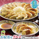 浜松餃子|15粒×3トレイ|贈物 プレゼント お中元 お歳暮 敬老の日 お礼 送料無料
