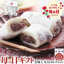 母の日 ギフト 巣鴨「とげぬき福寿庵」東京 塩豆大福|大福 80g×8個|お届け期間【5月8日〜5月11日※日付指定不可】ギフト・プレゼント・贈物 送料無料