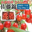 高級なフルーツ 山形県産 さくらんぼ「佐藤錦」家庭用 バラ詰 1kg(500g×2)　L～2L玉混合　お買い得　初夏ギフト　高級フルーツ　果物　父の日に遅れてごめんね　ご家族向けお中元　国産チェリー　出荷期間：6月下旬～7月上旬　指定不可　予約品　送料無料