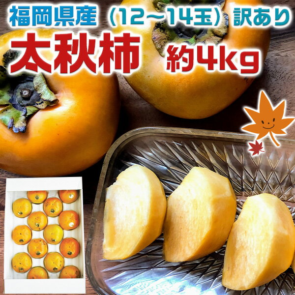 柿　太秋柿 約4kg（12〜14玉）訳あり　家庭用　福岡県産　九州応援　遅れての敬老の日プレゼント　甘い柿　ギフト　秋果物　かき　フルーツ　 送料無料　NT-02