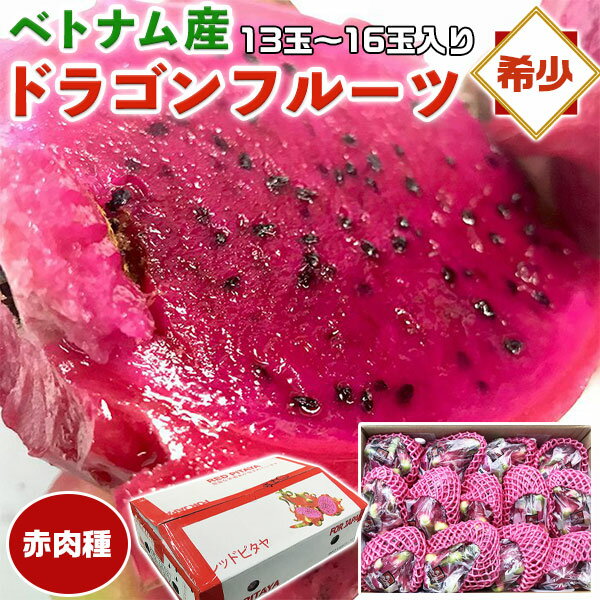 ベトナム産　ドラゴンフルーツ　赤肉種（レッドピタヤ）　13玉～16玉入り　家庭用（1箱）【出荷日お任せ・指定日不可…