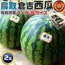 お中元 倉吉西瓜 鳥取スイカ 倉吉すいか 鳥取県産 鳥取西瓜 秀品 3Lサイズ 8〜9kg × 2玉セット 段ボール詰め 11610376-3 初夏ギフト ...
