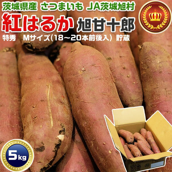 さつまいも 紅はるか 特秀 Mサイズ 約5kg (18~20本前後入) 貯蔵 箱入り 21710714-4 茨城県産(JA茨城旭村) 家庭用【出荷日お任せ・指定日不可】芋活 お芋 焼き芋に サツマイモ 送料無料