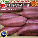 さつまいも 茨城県産 (マルタケ)シルクスイート A等級 2Lサイズ 約5kg(8~9本前後入)貯蔵 箱入り 21710806-4 家庭用【出荷日お任せ・指定日不可】芋活 お芋 焼き芋に 生芋 キュアリング貯蔵 サツマイモ 送料無料(4)