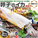 TVで紹介/ 呼子のイカ|呼子 剣先いか姿造り(S1サイズ)× 合計5P | 約100〜150g(1個あたり) CAS凍結 高級剣先いか お刺身・天ぷらでも 一...
