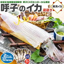 TVで紹介/ 呼子のイカ|呼子 剣先いか姿造り(S1サイズ)× 合計2P | 約100〜150g(1個あたり) CAS凍結 高級剣先いか お刺身・天ぷらでも 一...