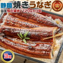 雅 うなぎ静岡焼き うなぎの蒲焼【静岡焼きうなぎ】国産 120g×3尾 合計360g・3人前|お茶とかつおのダシを効かせた特製だれでじっくり焼き上げました|鰻 ...