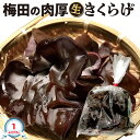 生きくらげ 1kg (500×2袋) 大サイズ|国産 梅田の 肉厚 きくらげ 家庭用 大阪梅田産 1袋 (500グラム×2袋) 品種:あらげ きくらげ 木耳 野菜 収穫後 産地直送