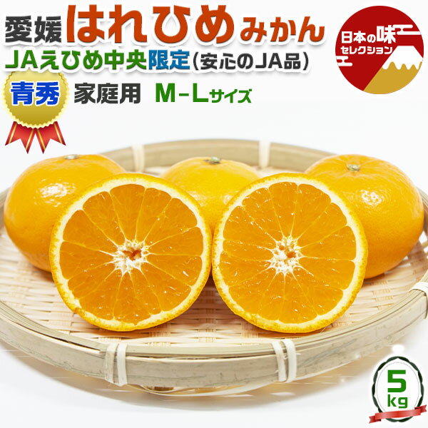 愛媛 みかん はれひめ　5kg　等級：青秀(家庭用)　M～Lサイズ お任せ JA味センサー選別【えひめ県産・12月から出荷日お任せ】冬シーズン限定の柑橘　高級蜜柑ギフト　JAえひめ中央出荷　お歳暮　クリスマス　送料無料(4)