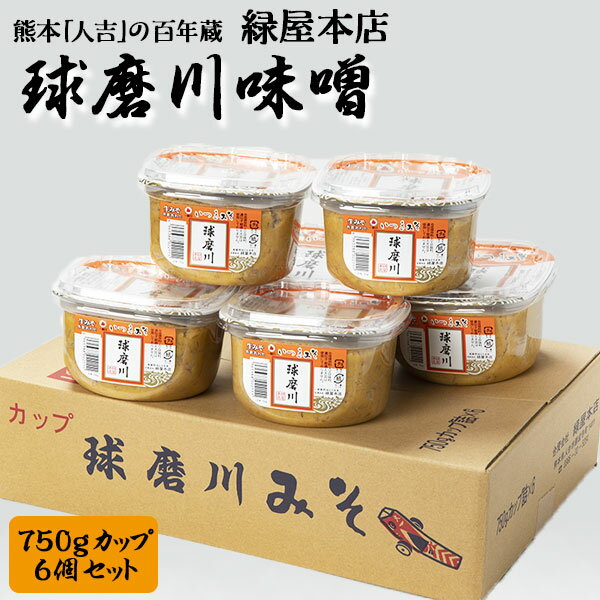 リアルタイムランキング1位 ひとよしの百年蔵 いつきみそ 球磨川味噌 750g 6パックセット 合計4.5kg 米麦あわせ 生みそ 熊本 緑屋本店 ご家庭用・ギフト お中元 送料無料