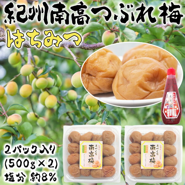 つぶれ梅　はちみつ　500g×2パック(合計1kg) +紀州南高梅　練り梅1本(しそ漬180g) セット紀州南高梅　和歌山県産　つぶれうめ はちみつ漬け　送料無料