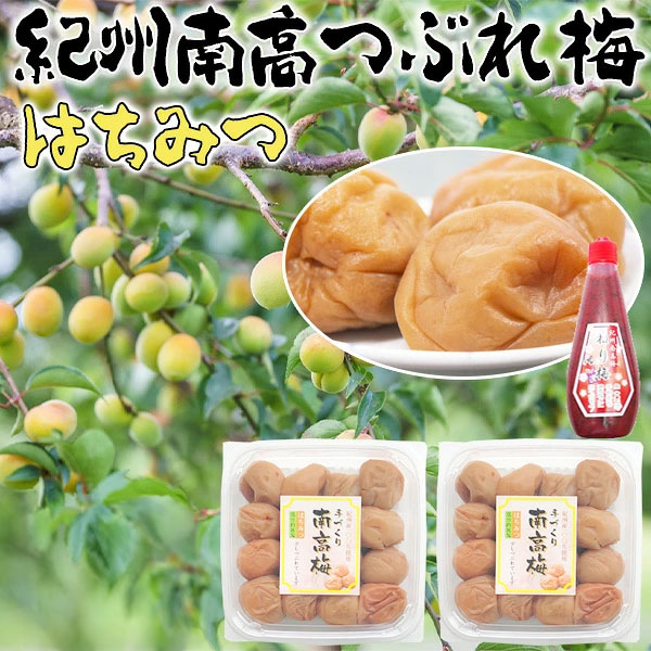 つぶれ梅　はちみつ　500g×2パック(合計1kg) +紀州南高梅　練り梅1本(しそ漬180g) ...